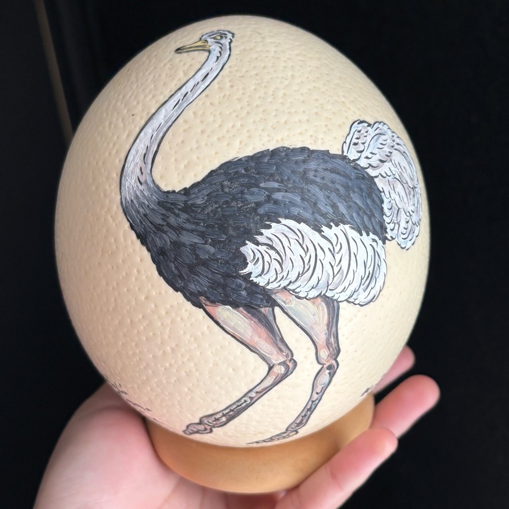 Vintage South African Ostrich Egg Art Ostrich Painting Monica Wilson